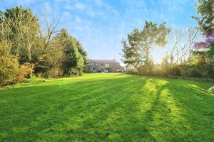 Photo 9- click for photo gallery